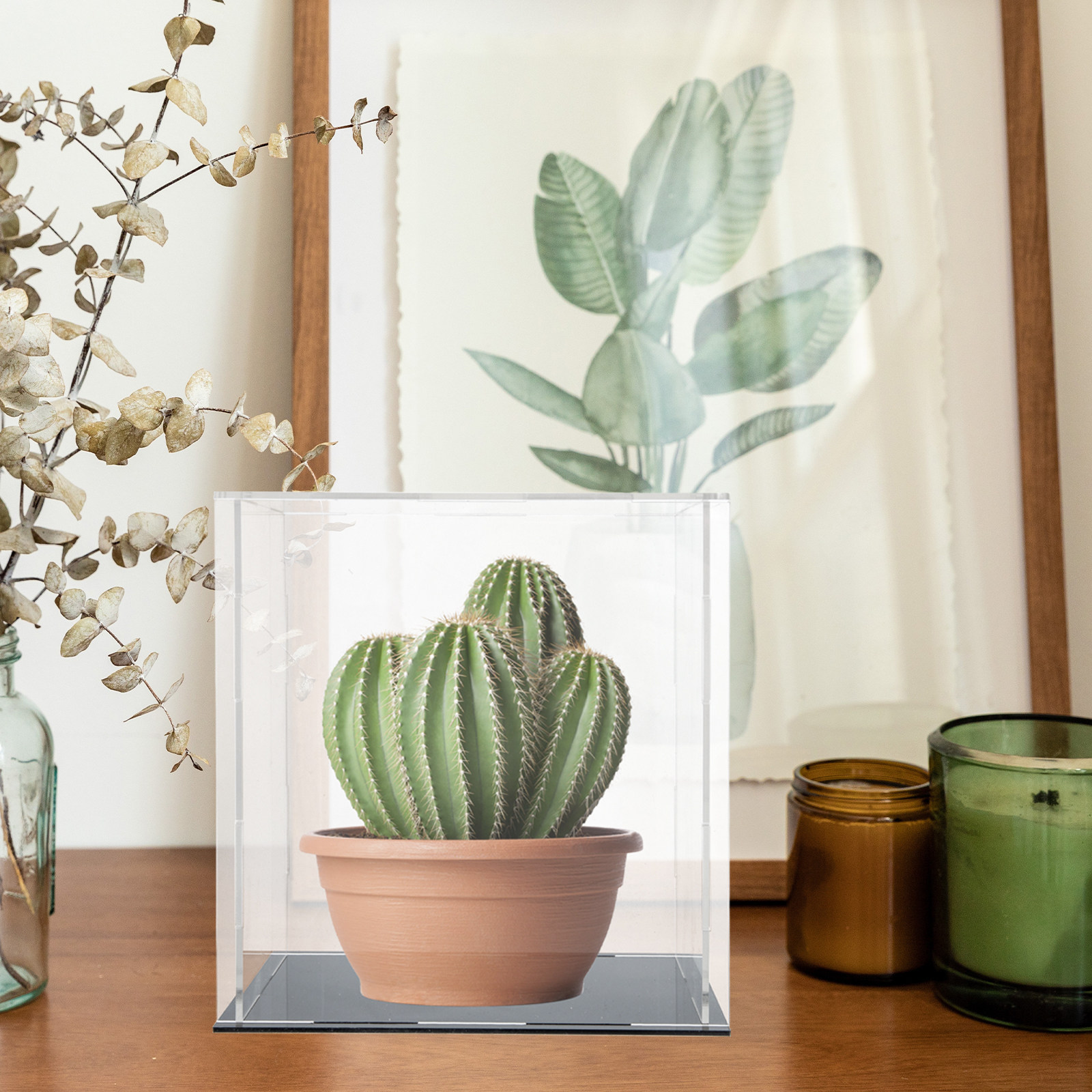 علبة عرض شفافة من الأكريليك، ص - مراجعة Display Case Acrylic وسعره