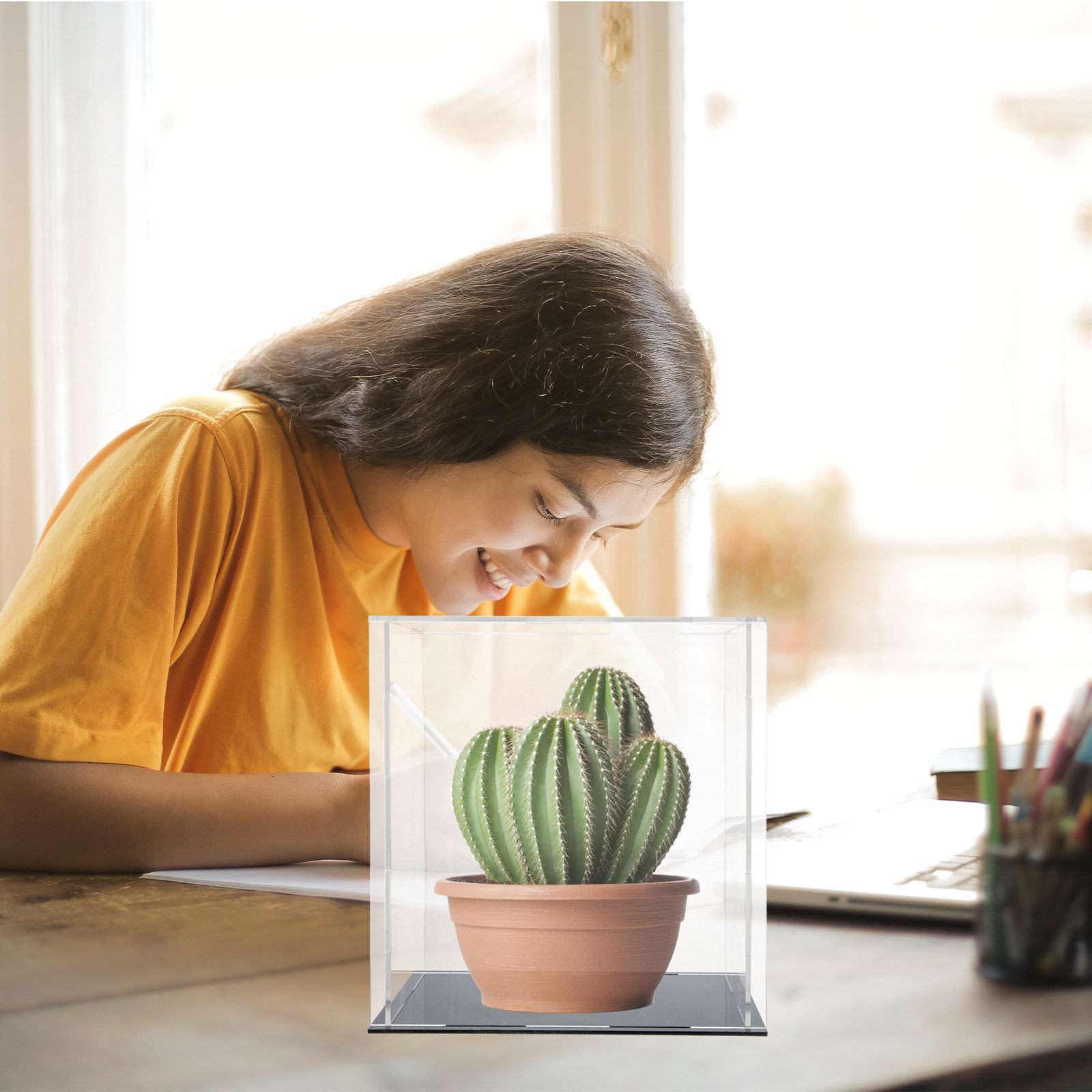 علبة عرض شفافة من الأكريليك، ص - مراجعة Display Case Acrylic وسعره