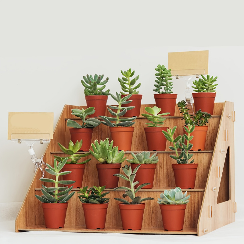 رف عرض خشبي، منصة لعرض المنتجا - مراجعة Pop Display Shelf وسعره